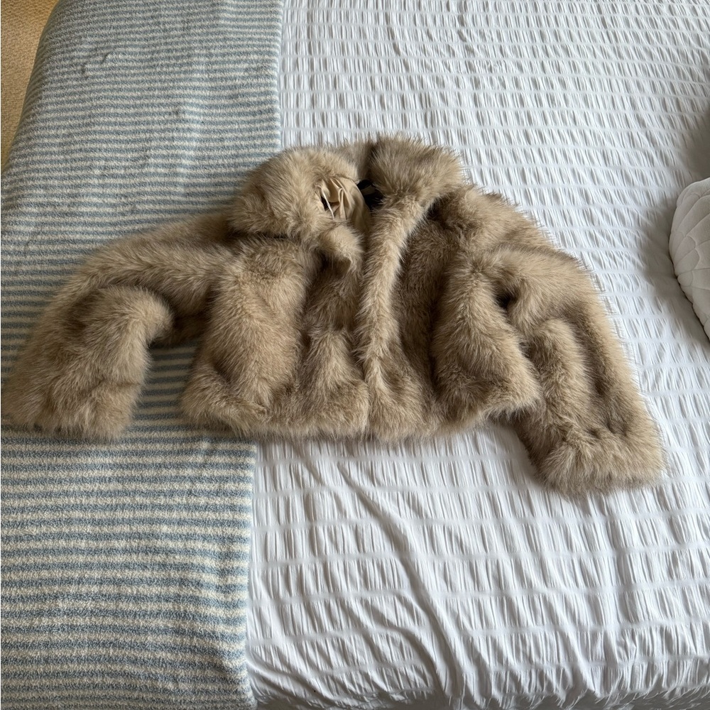 H&M Cropped Fur Coat - Picture 2 of 4